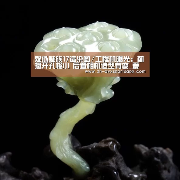 疑似魅族17渲染图/工程机曝光:前摄开孔极小 后置相机造型有变_爱游戏sportsapp(图2) 爱游戏sportsapp