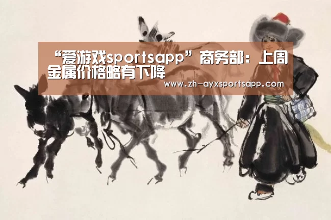 爱游戏sportsapp