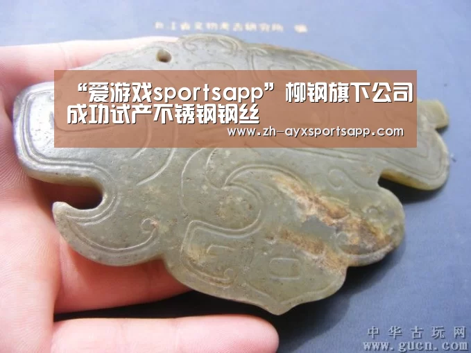 爱游戏sportsapp