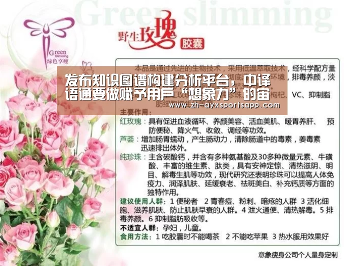 发布知识图谱构建分析平台，中译语通要做赋予用户“想象力”的宙斯|爱游戏sport