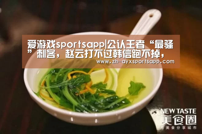 爱游戏sportsapp