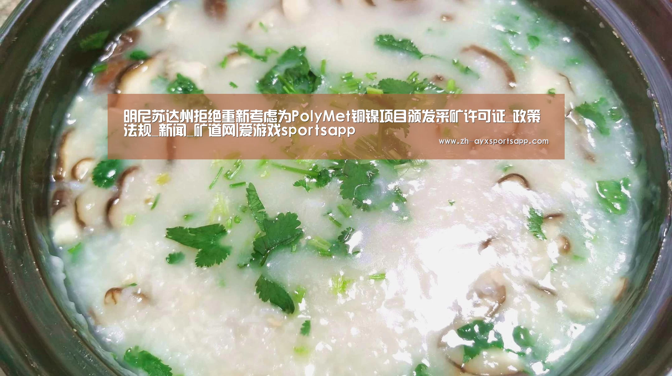 明尼苏达州拒绝重新考虑为PolyMet铜镍项目颁发采矿许可证_政策法规_新闻_矿道网|爱游戏sportsapp(图1) 爱游戏sportsapp