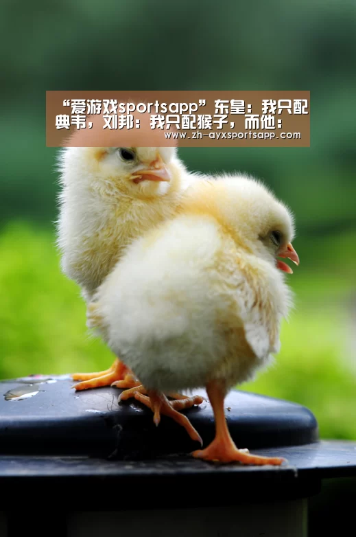 爱游戏sportsapp