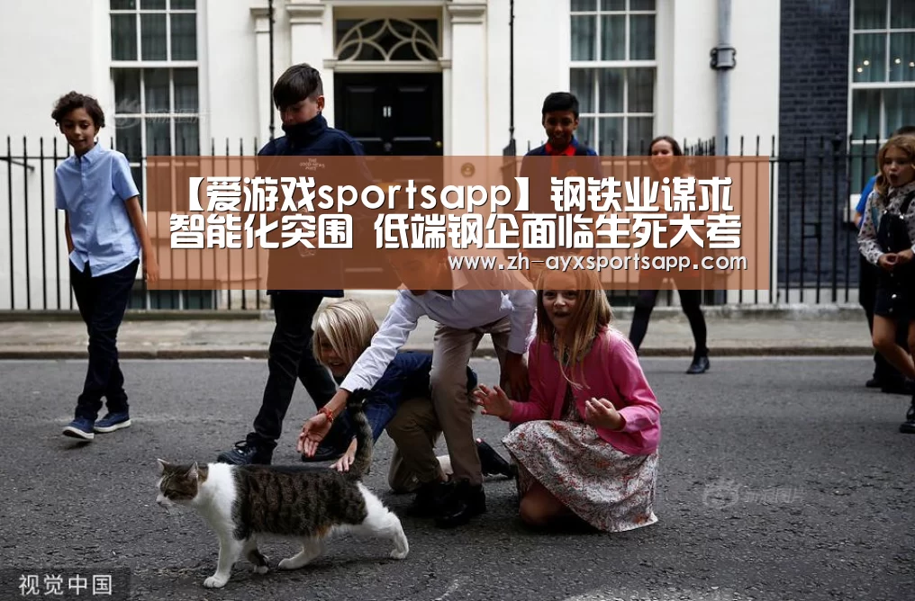 爱游戏sportsapp
