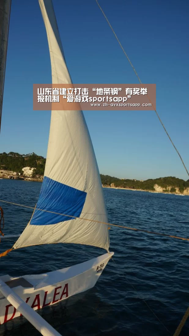 爱游戏sportsapp