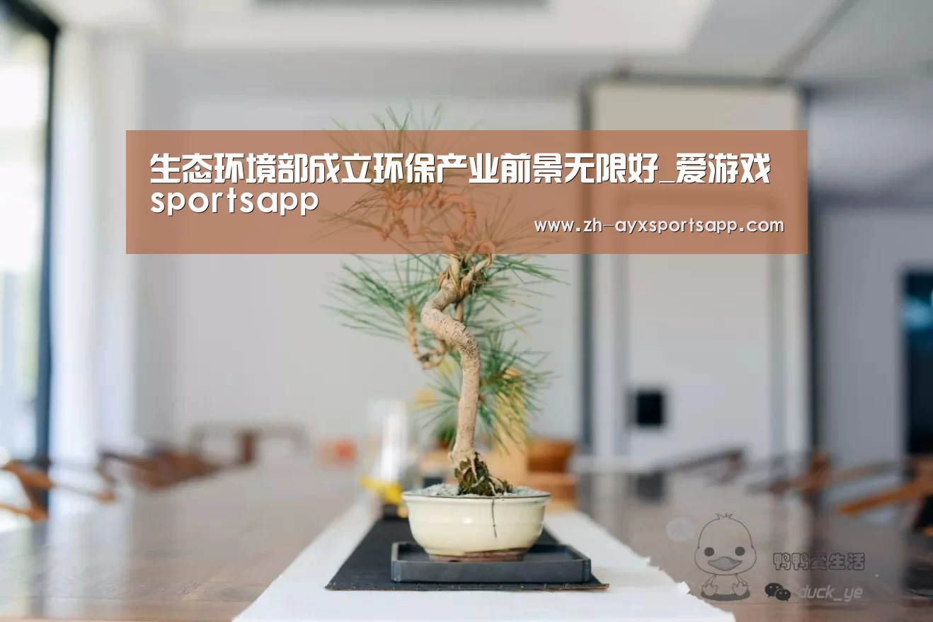 爱游戏sportsapp